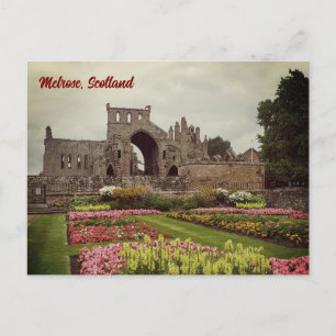 Carte postale Melrose Abbey, Scotland Postcard