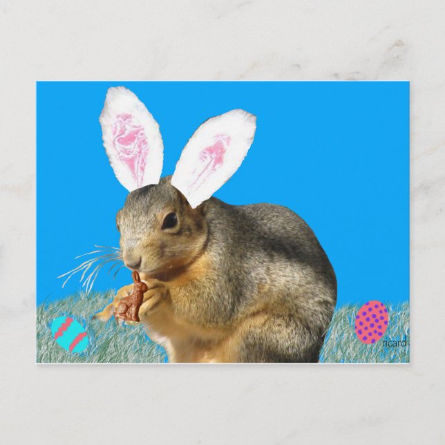 Carte postale Melvin Cottontail (Devant)