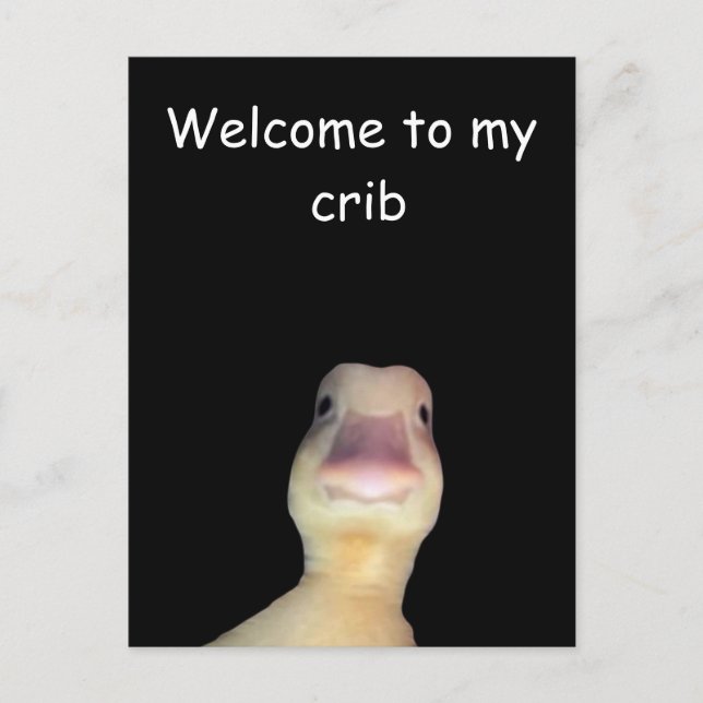 Carte Postale Meme de Canard Drôle : Bienvenue dans mon Repaire  (Devant)