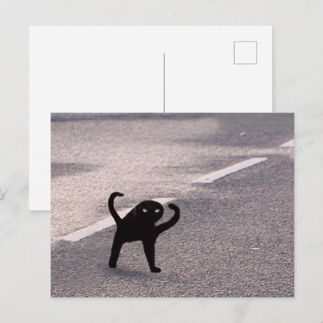 Carte postale Mème de Chat Maudit (Devant / Derrière)