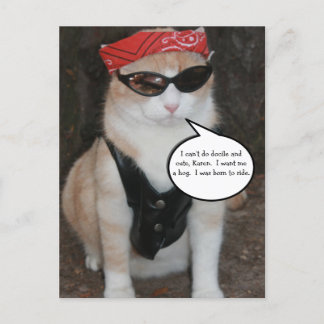 Carte Postale Mème de chat motard amusant