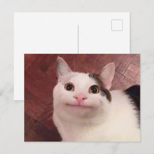 Carte postale Mème de chat poli