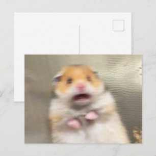 Carte postale Mème de hamster effrayé