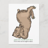 "Même un ours peut apprendre à danser"