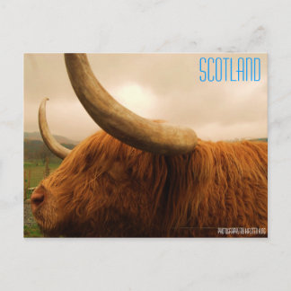 Carte Postale mémoire 2 216, ÉCOSSE, Photographie de Kirsten ...