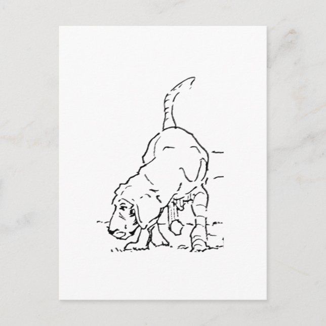 Carte Postale Mémoire d'amour pour les chiens, illustration de B (Devant)