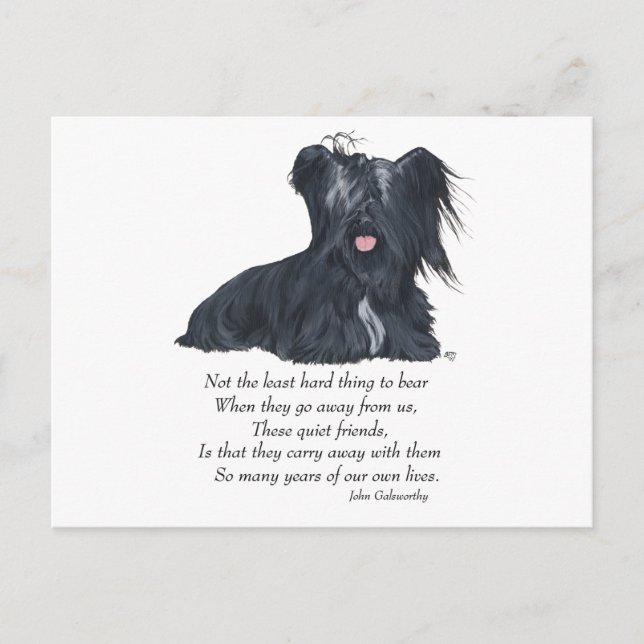 Carte Postale Mémoire du Terrier de Skye (Devant)