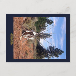 Carte Postale Mémoires du Prarie