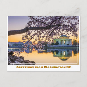 Carte Postale Mémorial Jefferson de Washington DC avec branche d