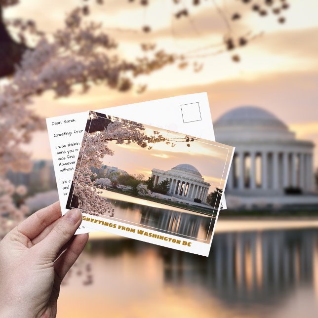 Carte Postale Mémorial Jefferson Washington DC cerisier à fleurs (Créateur téléchargé)