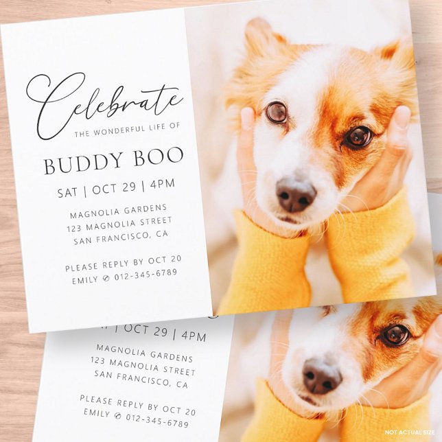 Carte Postale Mémorial pour animaux de compagnie Moderne Simple  (Créateur téléchargé)