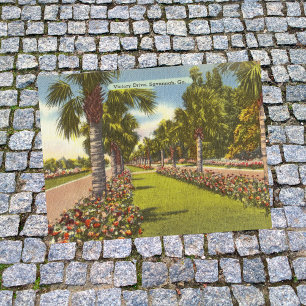 Carte Postale Memorial Victory Drive Palmiers Savannah GA rétro