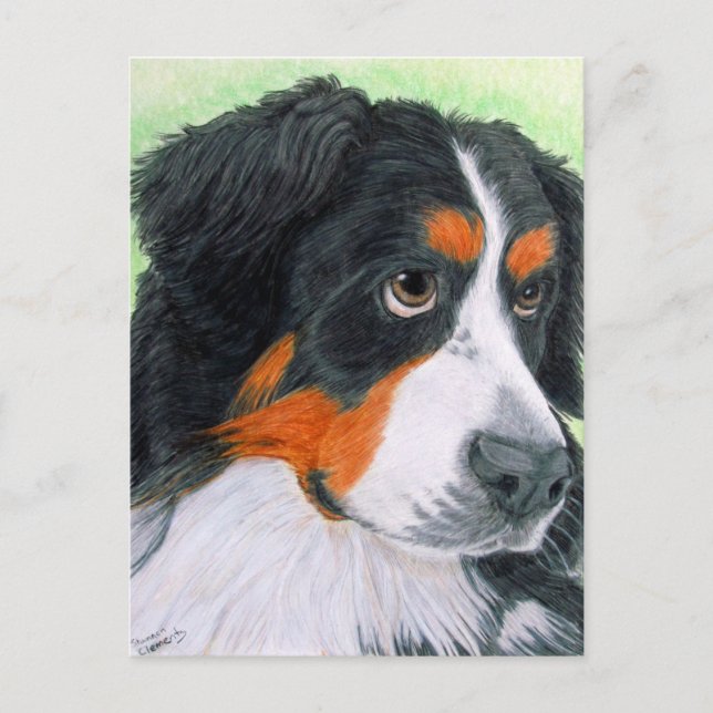 Carte Postale Mendier Bernese (Devant)