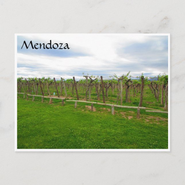 Carte Postale mendoza (Devant)