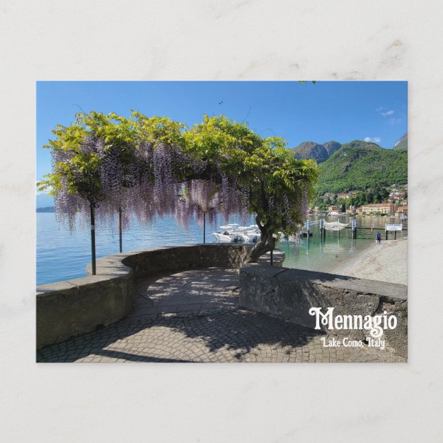 Carte Postale Mennagio Wisteria (Devant)