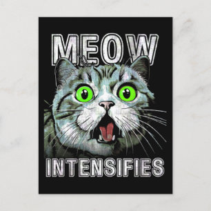 Carte Postale Meow Intensifie Funny Scottish Fold Cat