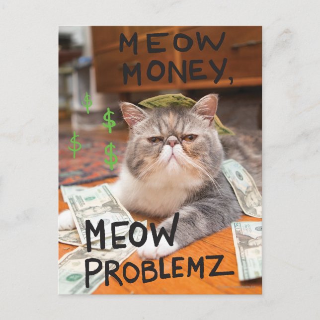 Carte Postale Meow Money, Meow Problemz (Devant)