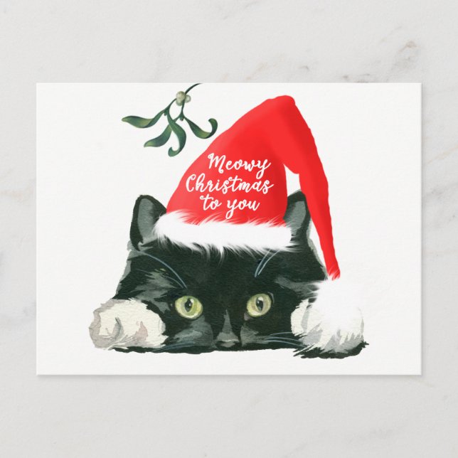 carte postale meowy de casquette de père Noël de (Devant)