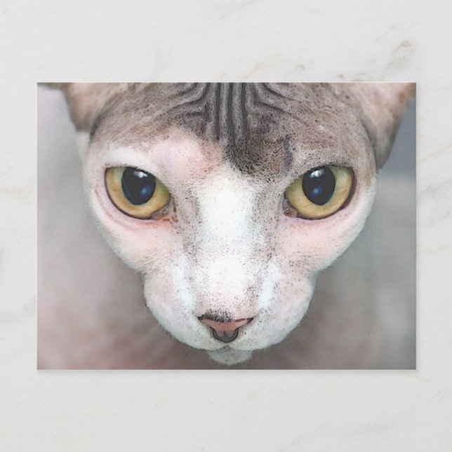 Carte Postale Mephisto (Devant)