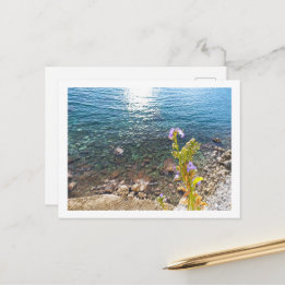 Carte Postale Mer Adriatique avec Campanule en été Montenegro