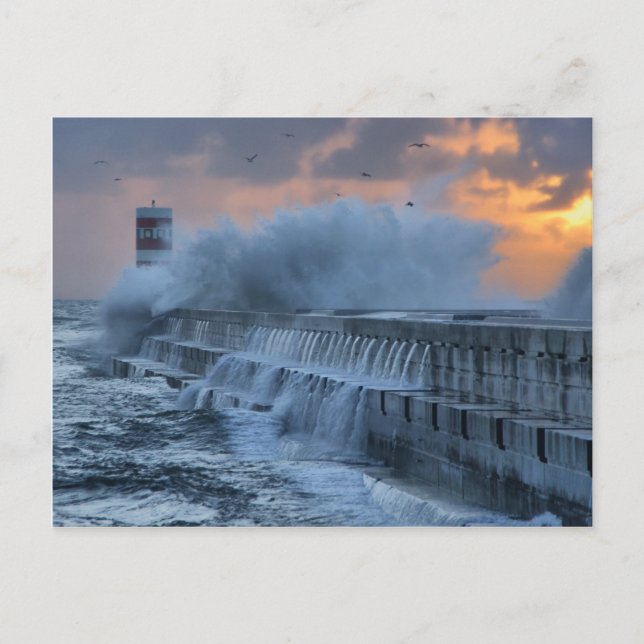 Carte Postale Mer agitée à Porto, Portugal (Devant)