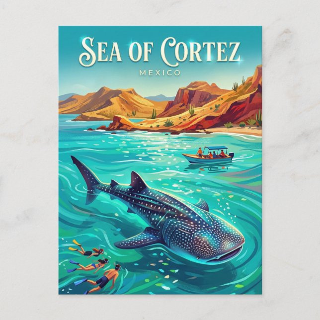 Carte Postale Mer de Cortez Mexique (Devant)
