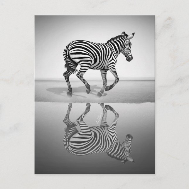 Carte Postale Mer de la liberté (Devant)