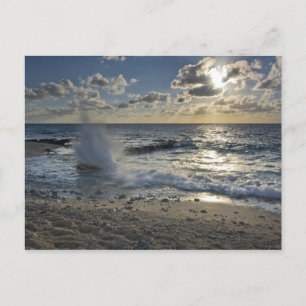 Carte Postale Mer des Caraïbes, îles Caïmans. Ondes écrasantes