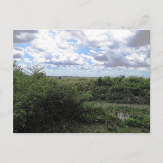 Carte Postale Mer D'Herbe (Devant)
