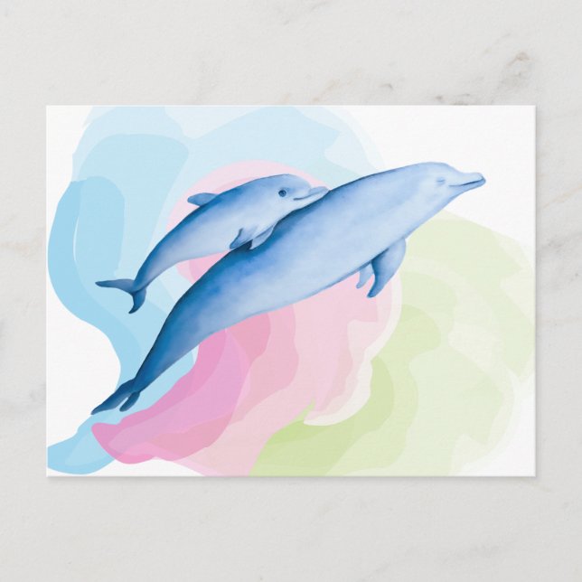 Carte Postale Mer incroyable avec des dauphins (Devant)