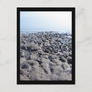 Carte Postale Mer morte
