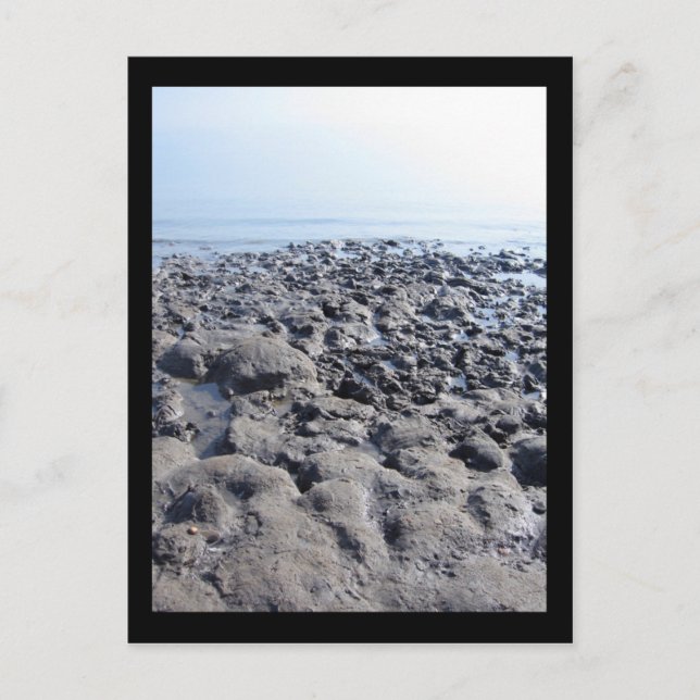 Carte Postale Mer morte (Devant)
