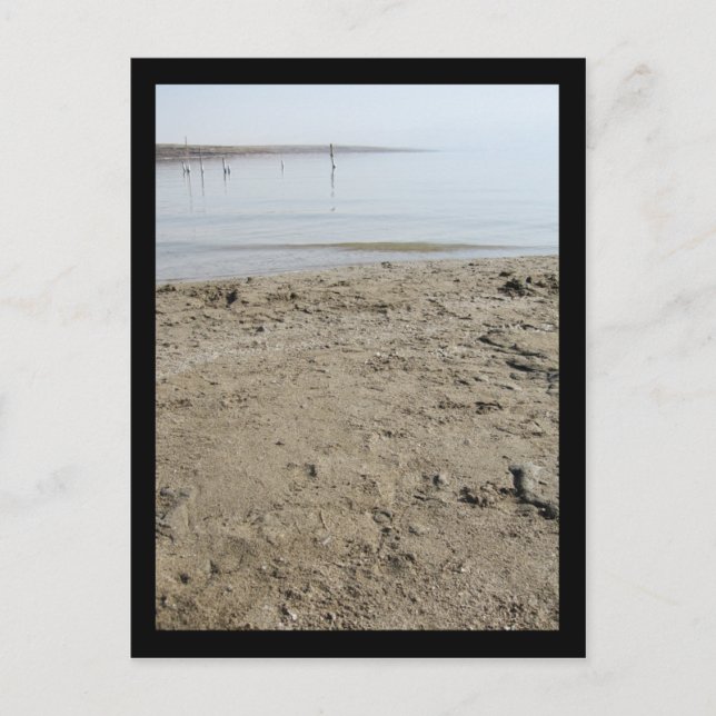 Carte Postale Mer morte (Devant)