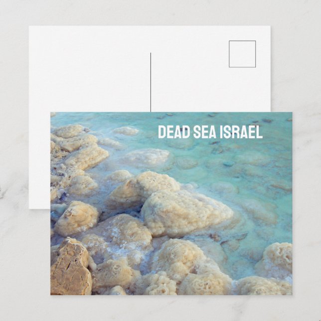 Carte Postale Mer morte Israël (Devant / Derrière)