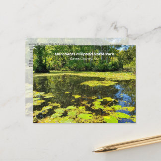 Carte Postale Merchants Millpond State Park, NC