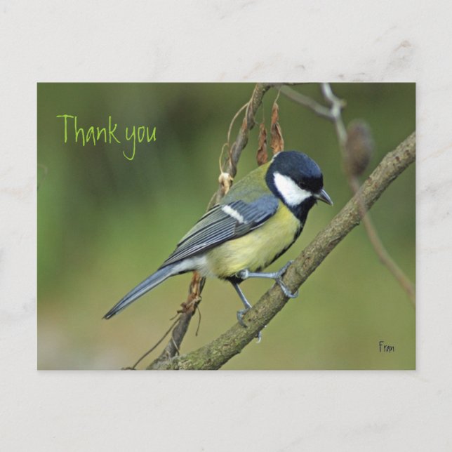 Carte Postale Merci (Devant)