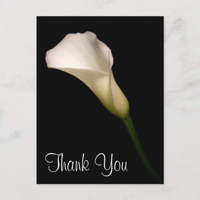 Carte Postale Merci (Devant)