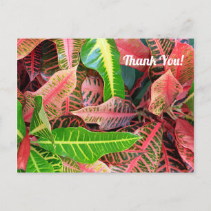 Carte postale Merci 3253 avec feuilles