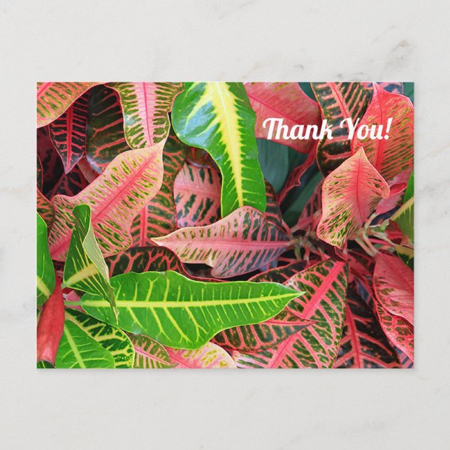 Carte postale Merci 3253 avec feuilles (Devant)