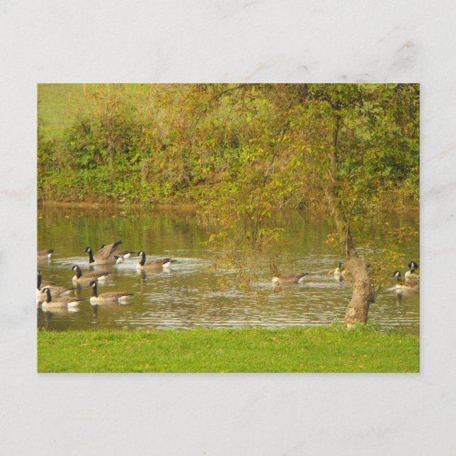 Carte Postale Merci à un soldat. (Devant)