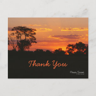 Carte postale Merci Acacia Sunset