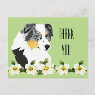 Carte postale Merci Aussie Blue Merle Dog
