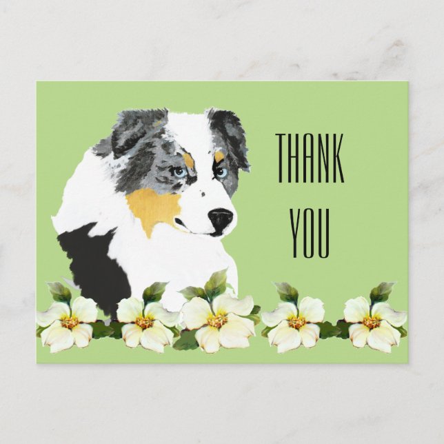 Carte postale Merci Aussie Blue Merle Dog (Devant)