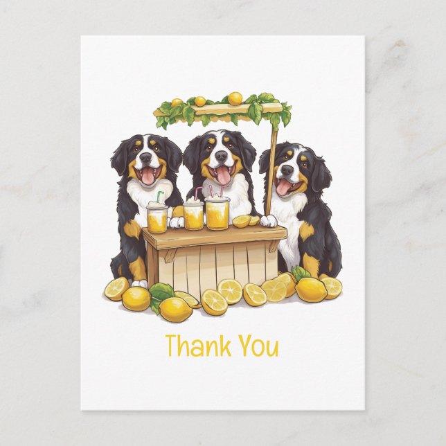 Carte Postale Merci aux Bernese Mountain Dogs Stand de Lemonade (Devant)