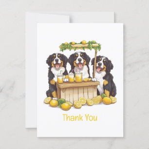 Carte Postale Merci aux Bernese Mountain Dogs Stand de Limonade