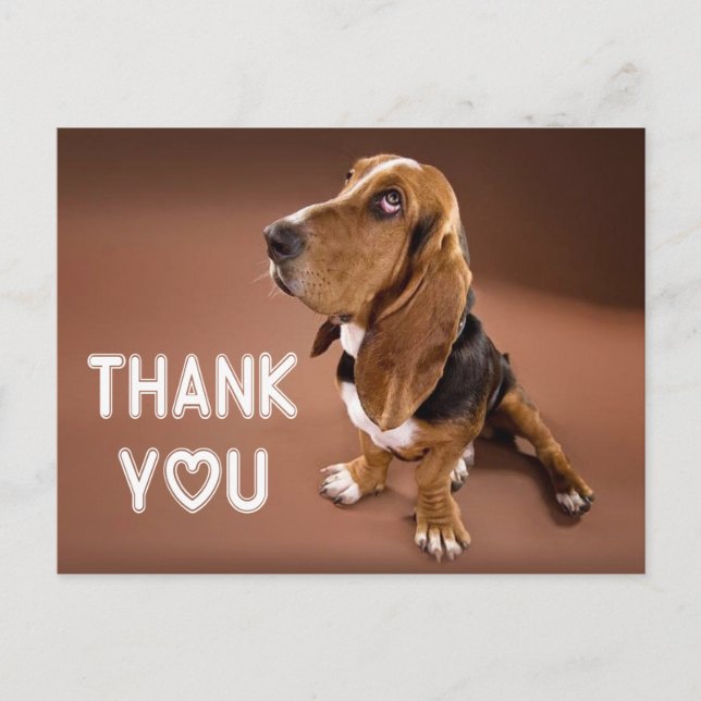 Carte Postale Merci Basset Hound Chien Chien Chien Chien Brown (Devant)