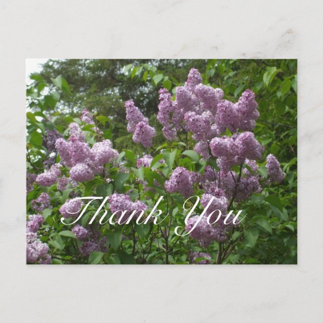 Carte Postale Merci - Beau Lilas (Devant)