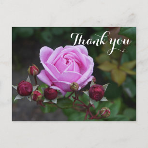 Carte postale Merci Bishop's Castle Rose #1