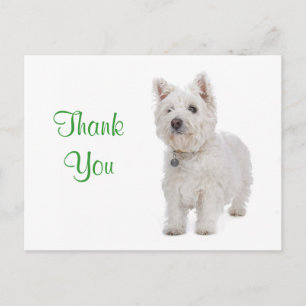 Carte Postale Merci blanc Westie Chien Chien Chien Salutation Ca