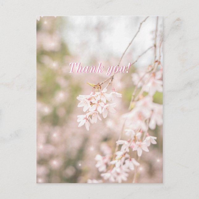 Carte Postale Merci Bright Weeping Cherry Sparkles (Devant)